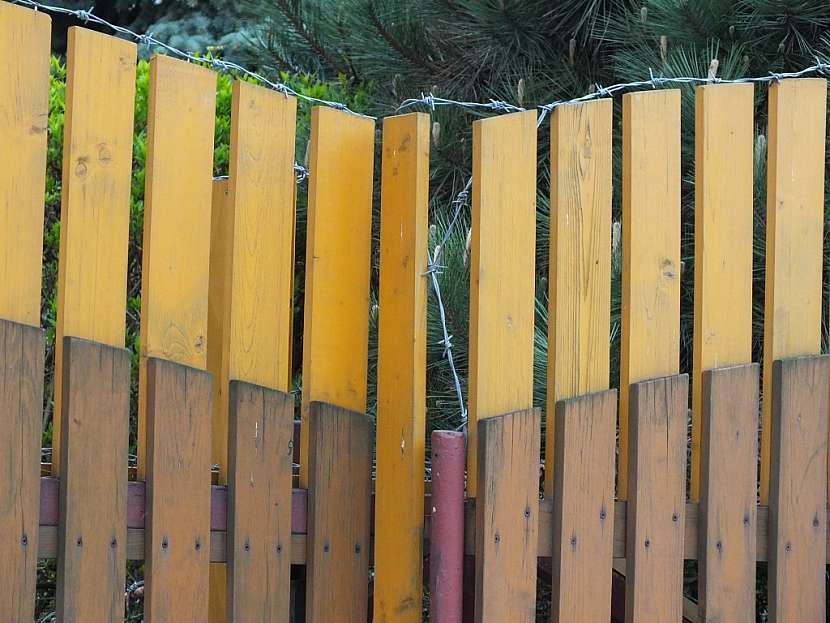 Antikutil - rostoucí plot s ostnatým drátem