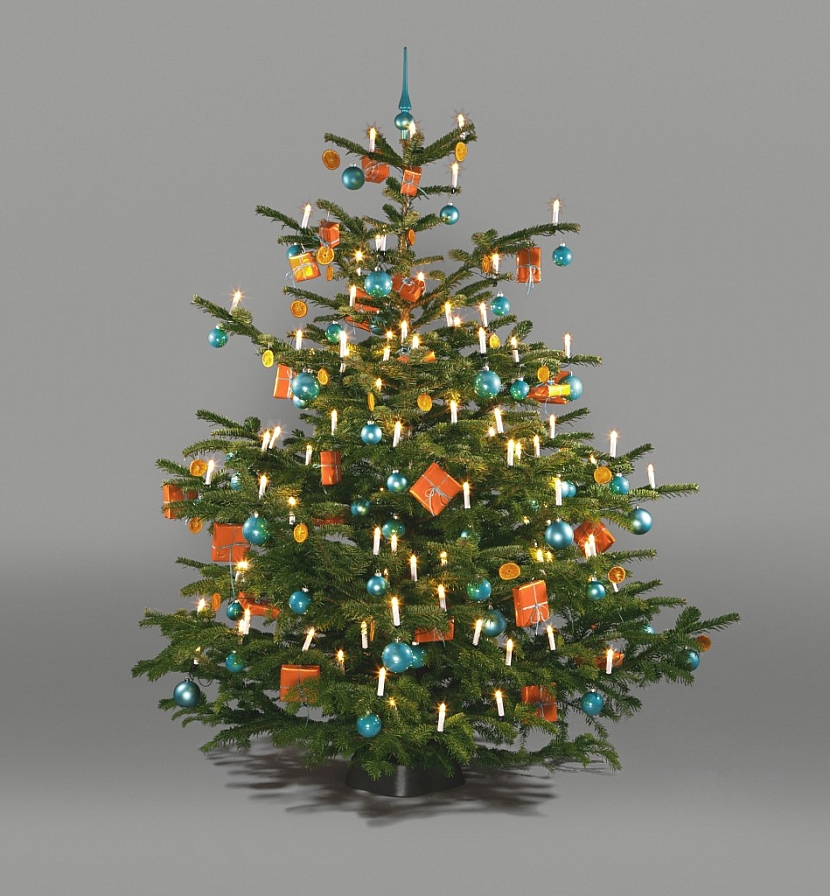 5 rad jak správně pokácet vlastní vánoční stromek