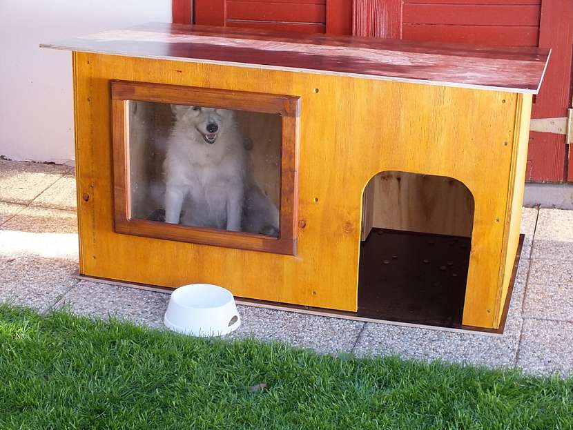 Vyrobte svému psovi letní boudu s oknem (Zdroj: HobbyPRstudio)