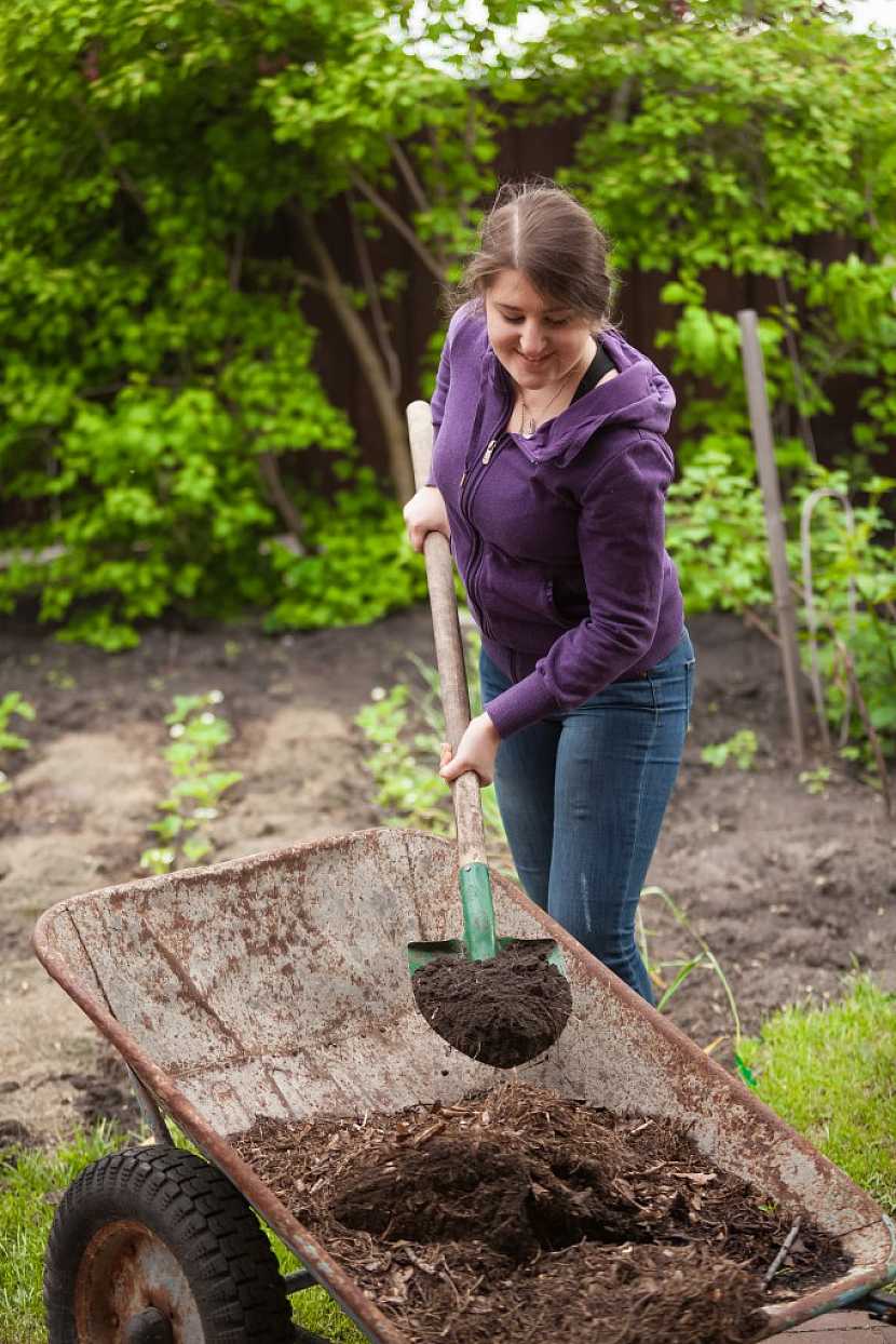 Při zpracování půdy použijte kompost, tím založíte na bohatou úrodu