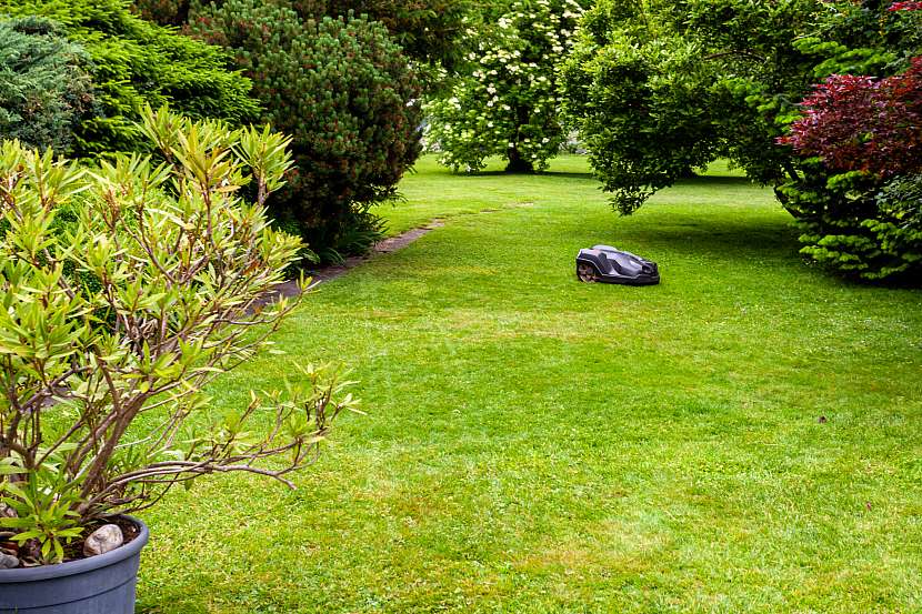 Jak ochránit robotickou sekačku před nástrahami zahrady? Nainstalujte vodicí drát (Zdroj: Depositphotos (https://cz.depositphotos.com))