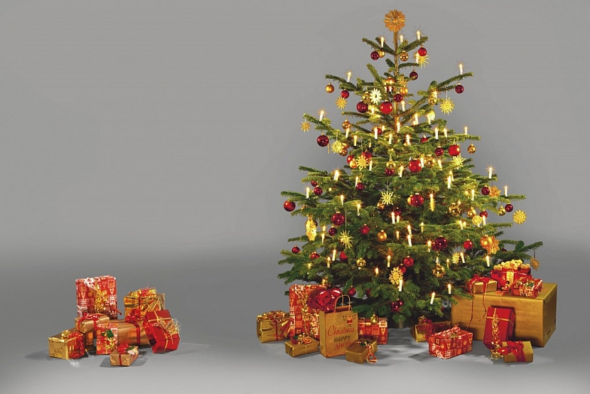Pořiďte si vlastní vánoční stromek!