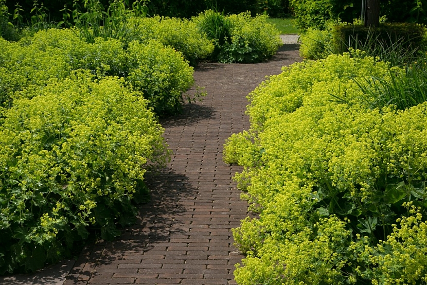 Použití dlažby na zahradě - cihlová dlažba se hodí do romantických a rustikálních zahrad, zde ji doplňuje kontryhel
