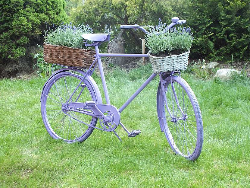 Postavte si na zahradě krásnou dekoraci ze starého kola (Zdroj: Prima DOMA MEDIA, s.r.o.)