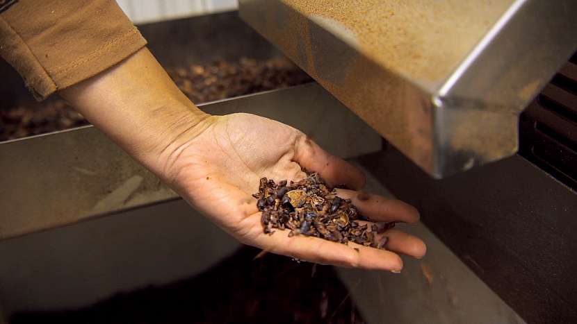 Vše začíná u kvalitních bobů, které se odšlupkují a vznikají kakaové nexi