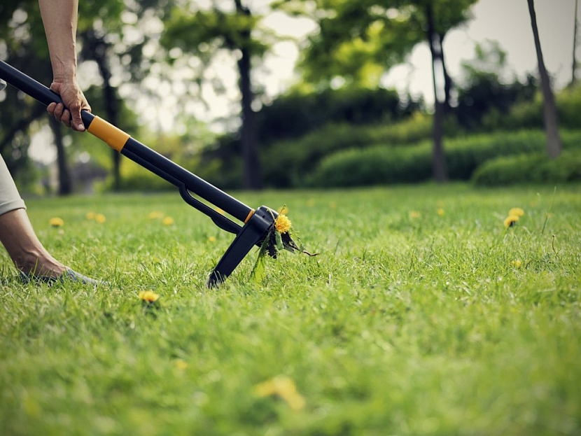 Vytrhávač plevele pomůže s údržbou trávníku nejen na podzim