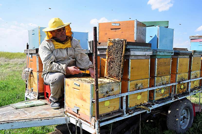 Převoz včelích úlů je opravdu specifický a musí se provádět opatrně