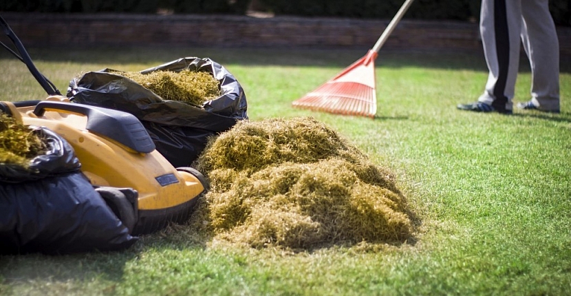 Zbytky travní masy – mech, plsť, plevel z trávníku důkladně odstraňte a ideálně zkompostujte
