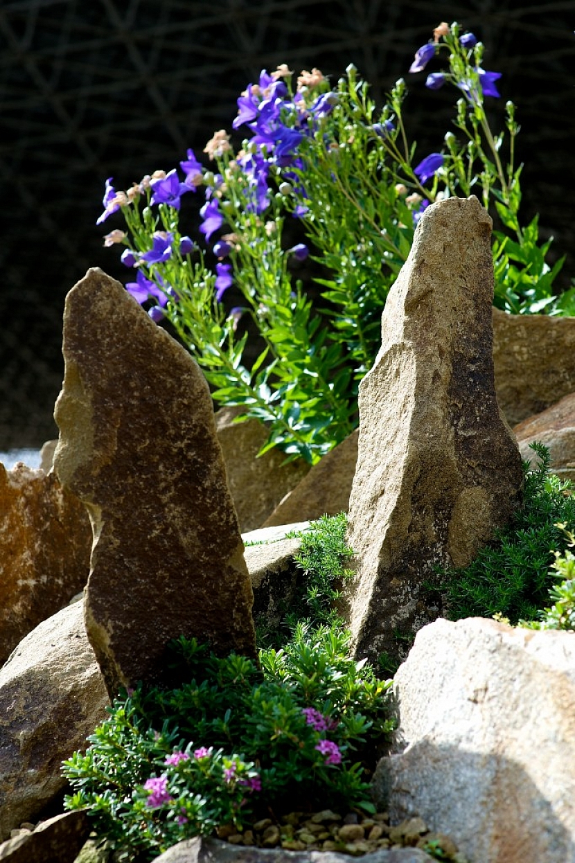 Pokud se rozhodnete do skalky zakomponovat kameny na výšku, dbejte na to, aby byly pořádně ukotvené.