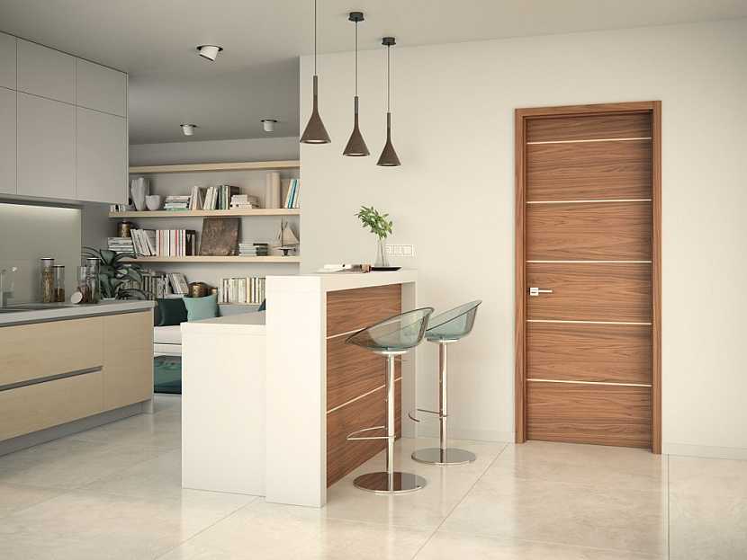 Moderní a dokonalý vzhled dodají vaší domácnosti kvalitní dveře