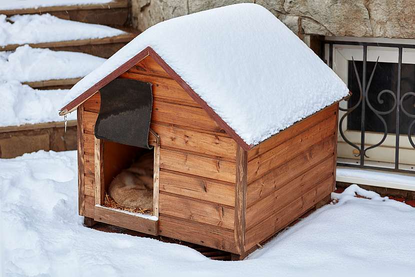 Nezapomínejte, že v zimě si pes v boudě nezatopí, je třeba mít boudu izolovanou