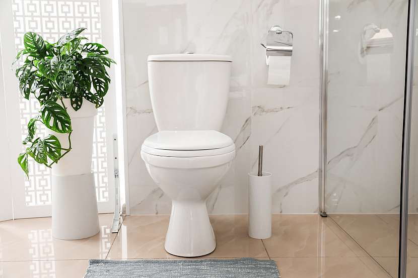 Protékající záchod nás může velice potrápit (Zdroj: Depositphotos (https://cz.depositphotos.com))