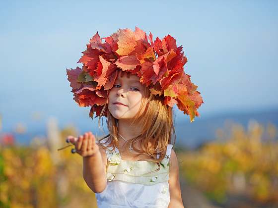  / Depositphotos (https://cz.depositphotos.com)