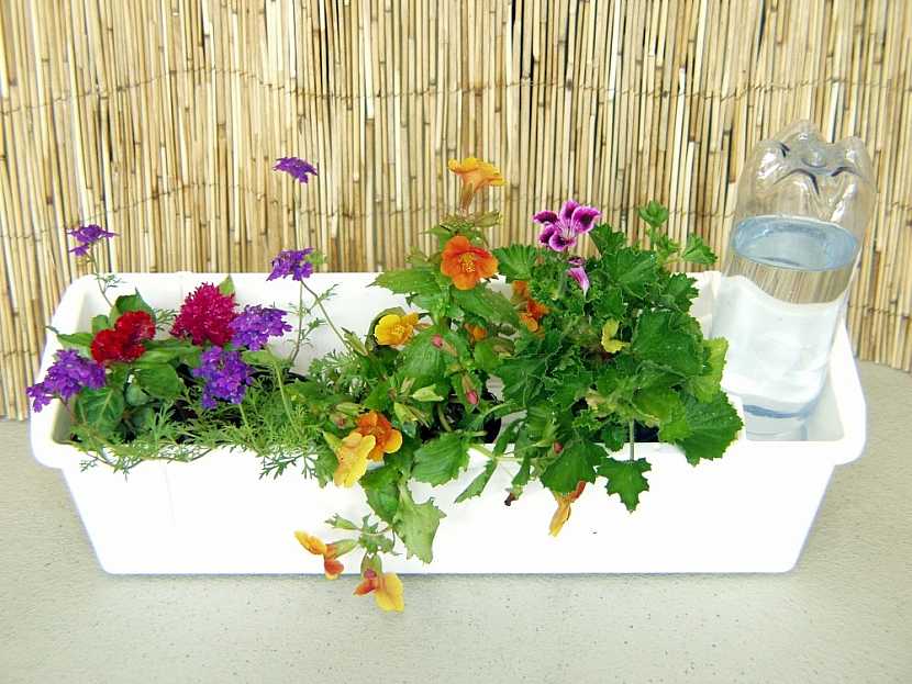 Závlahový systém pro pokojové rostliny – aby květiny nežíznily