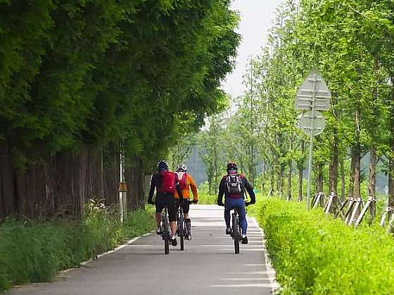otevřít: Každý cyklista ví, jak pečovat o kolo doma a kdy je na místě speciální servis