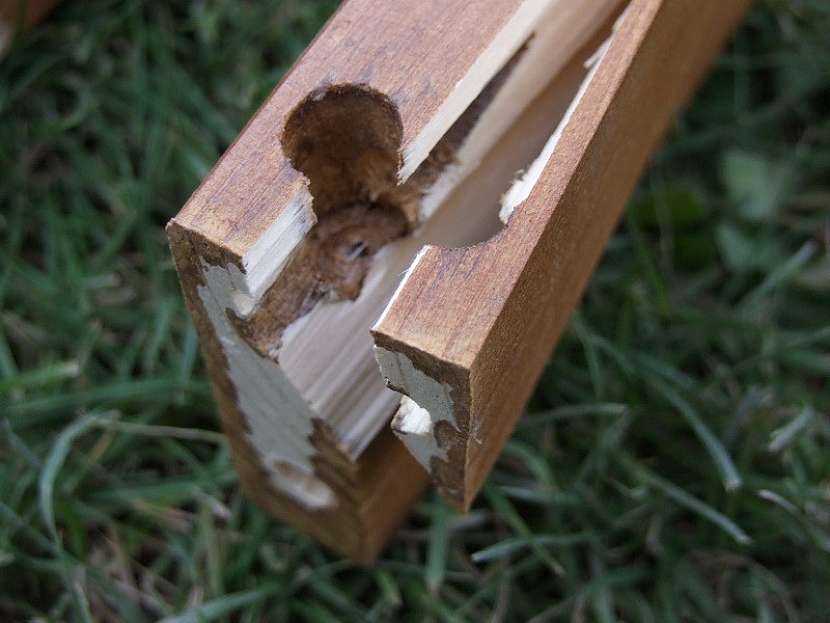 Lepidlo Ceys na dřevo