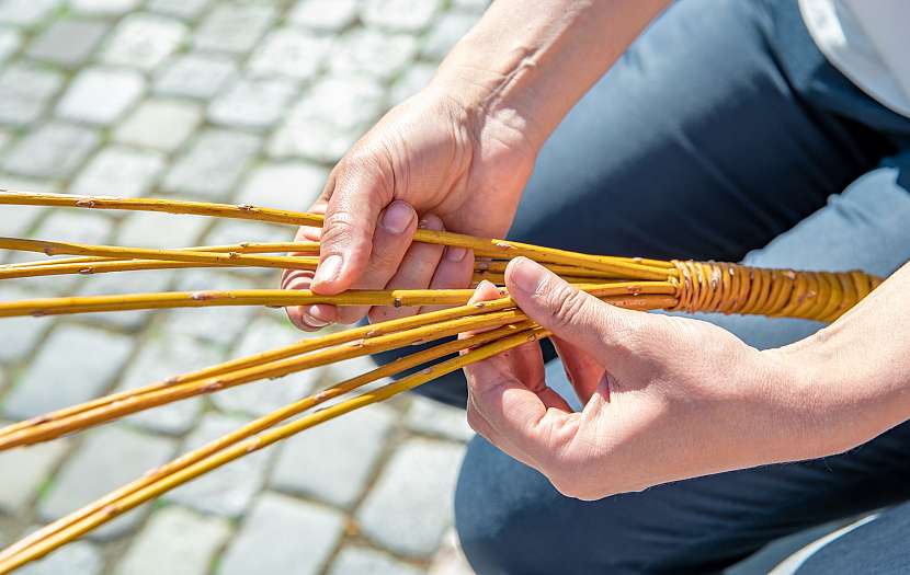 8 proutků na pomlázku si rozdělíme na dvě poloviny