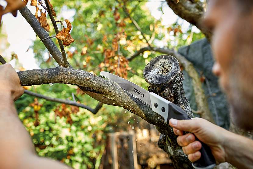 Řez dřevin v zahradě provádíme nejčastěji na podzim nebo na jaře (Zdroj: HORNBACH BAUMARKT CS spol. s.r.o.)