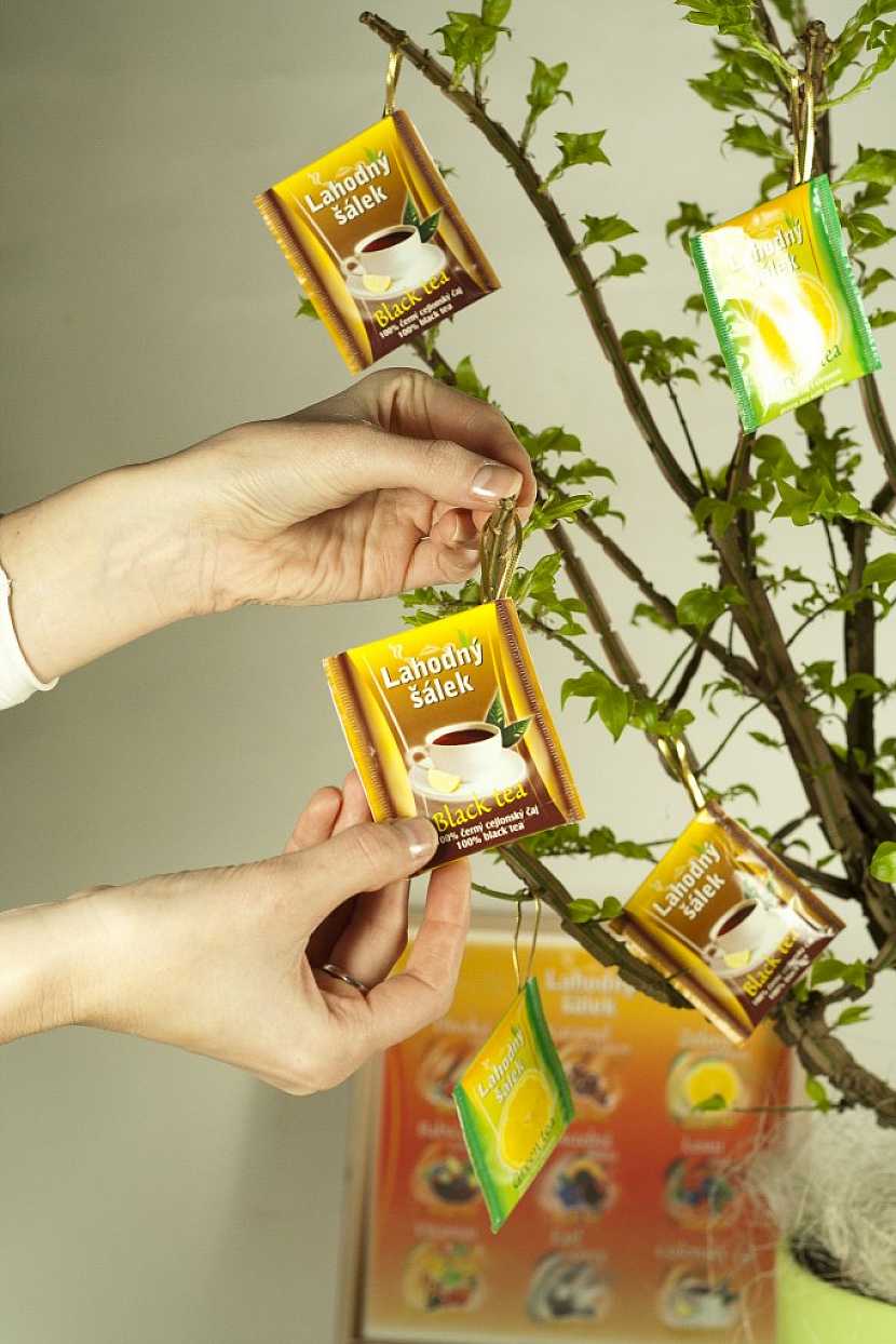 Čajový strom -Jak vytvořit netradiční dárek