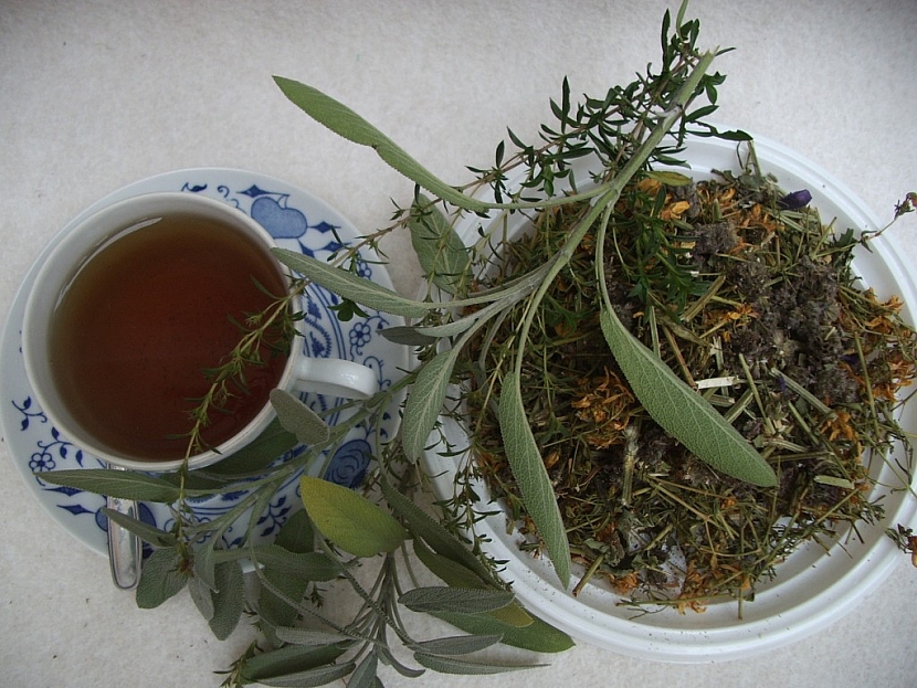 Z bylinek lze připravit výborné léčivé čaje