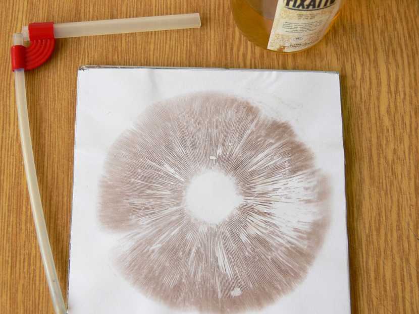 Výroba obrázku houby s rámečkem