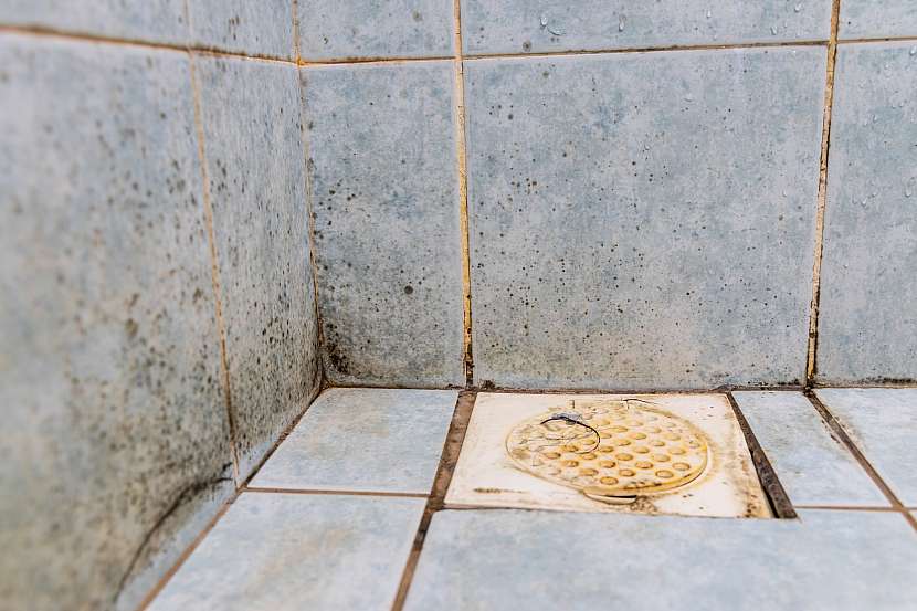 Jak vyřešit a zlikvidovat plísně ve sprchovém koutu? (Zdroj: Depositphotos (https://cz.depositphotos.com))