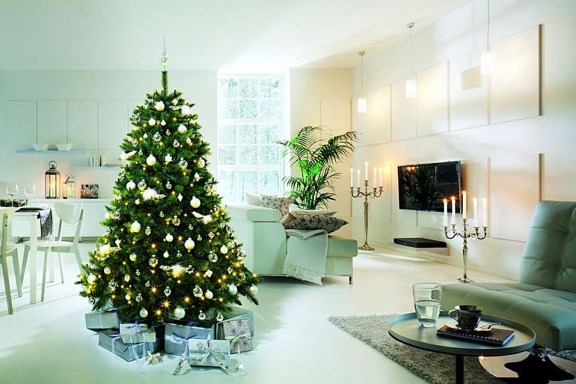 BAUHAUS rádce - vánoční stromky