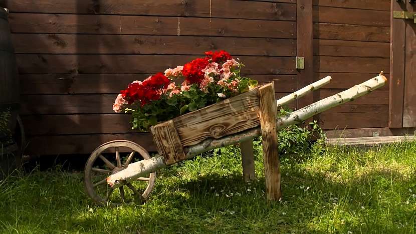 Květináč z dřevěného kola zkrášlí vaši zahradu (Zdroj: Prima DOMA MEDIA, s.r.o.)