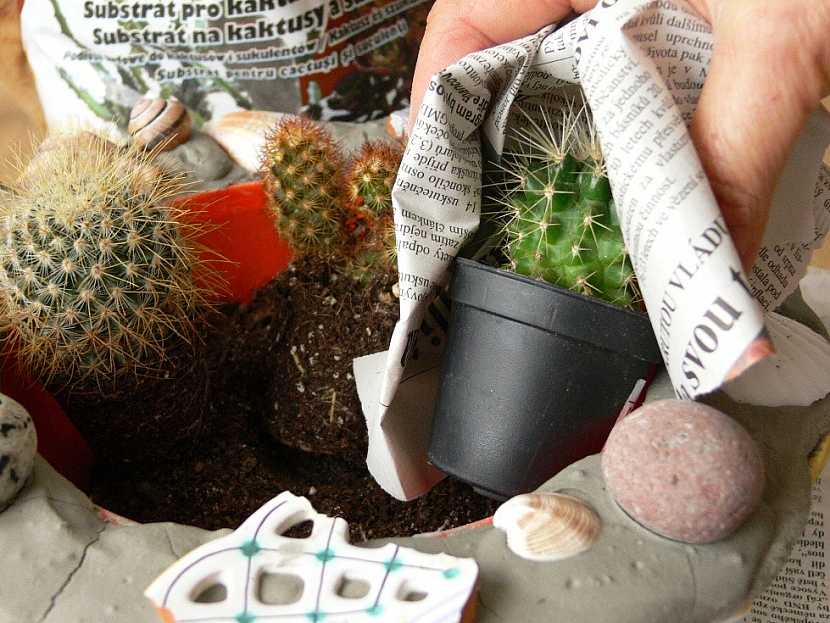 Postup na betonový květináč na kaktusy