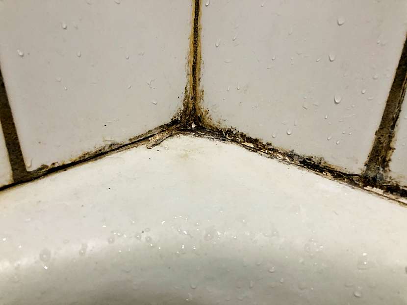 Rohy u vany a umyvadla nebo ve sprchovém koutě podléhají plísním nejčastěji