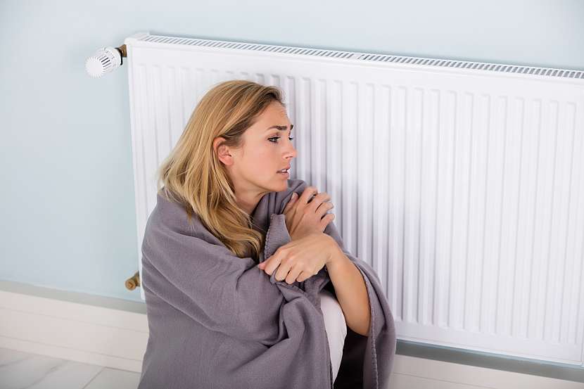 Studený odchov v bytě je hloupost, zachovávejte teplotu okolo 20 °C