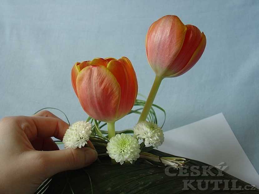 Jarní květina na stůl