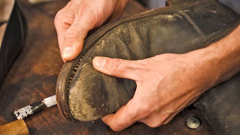 Původ slova žralok pramení z tradiční výroby bot, kdy se boty flokovaly