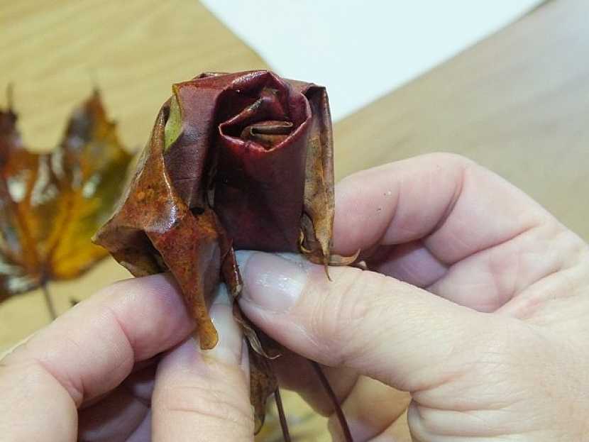 Jak vyrobit růže z listí
