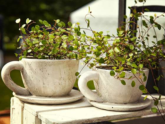  / Depositphotos