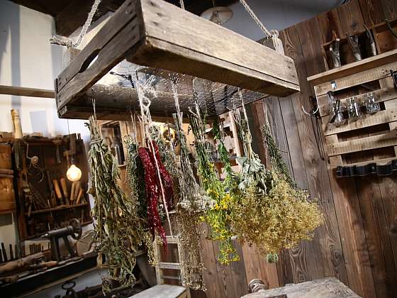 otevřít: Sušené bylinky dokážou úplně změnit vaše pokrmy. Podívejte se, jak si na ně doma vyrobit jednoduchý sušák