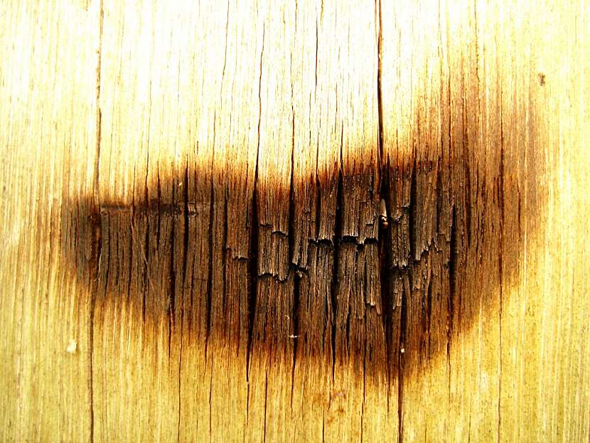 KNAUF zve odbornou i širokou veřejnost na výjimečnou ukázku na Dnu dřeva