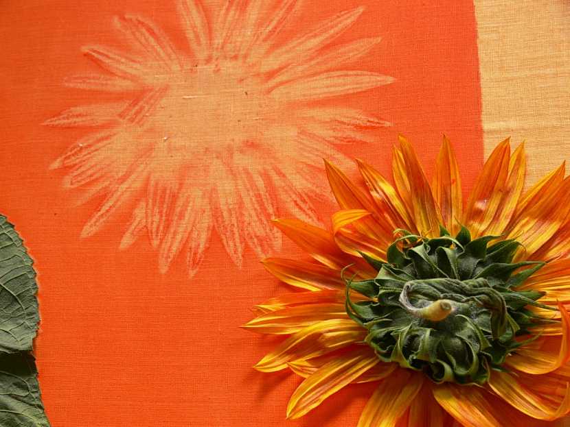 Ubrus se slunečnicemi - Barvení textilu světelnou technikou