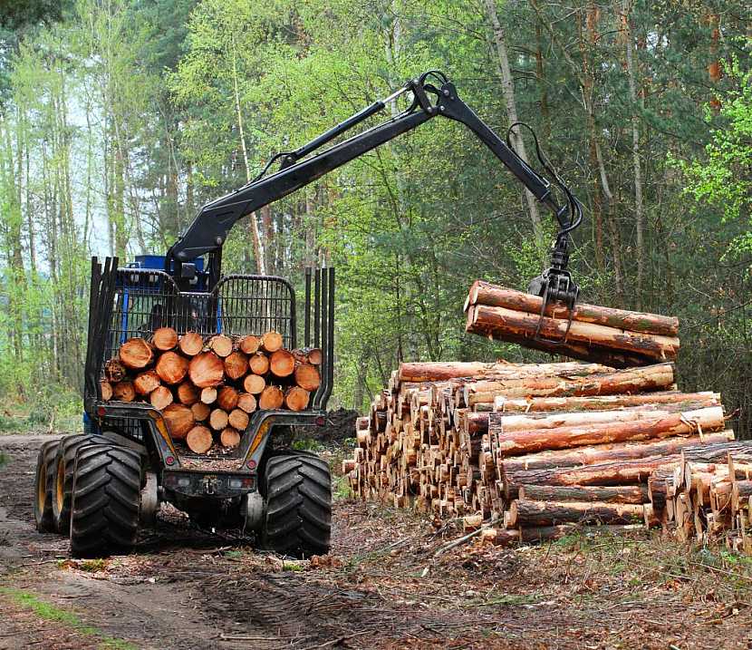 Mechanizace a těžba dřeva také k ochraně lesů patří