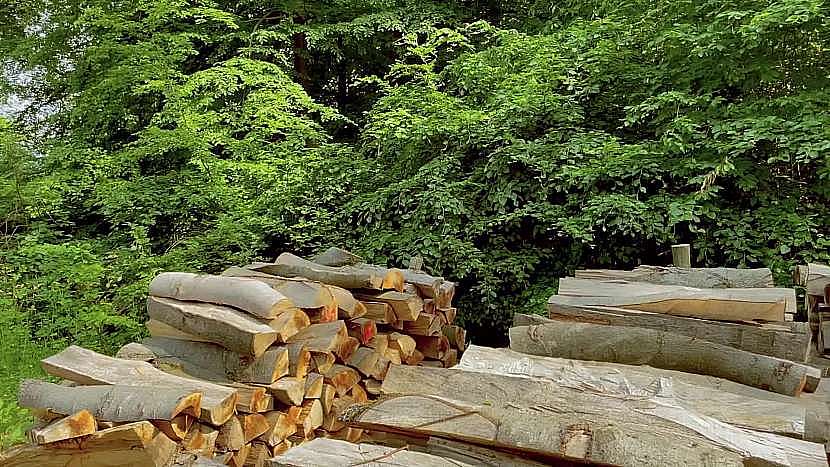 Příprava dřeva na zimu by měla začít už v létě