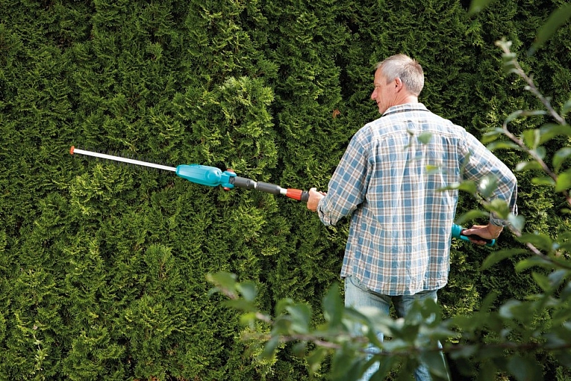 Jak stříhat živý plot