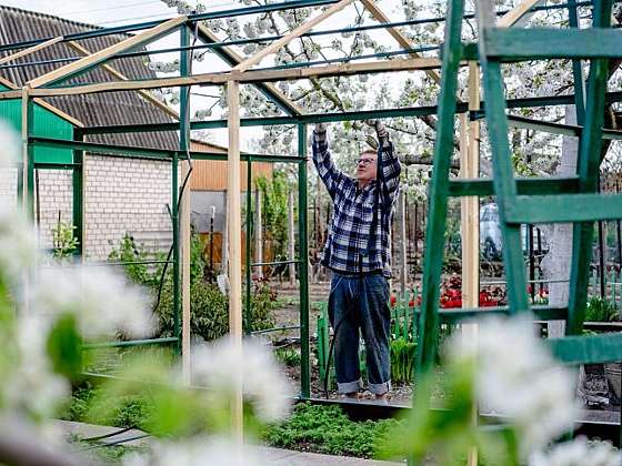 otevřít: Praktické úpravy zahrady, které zvládnete svépomocí