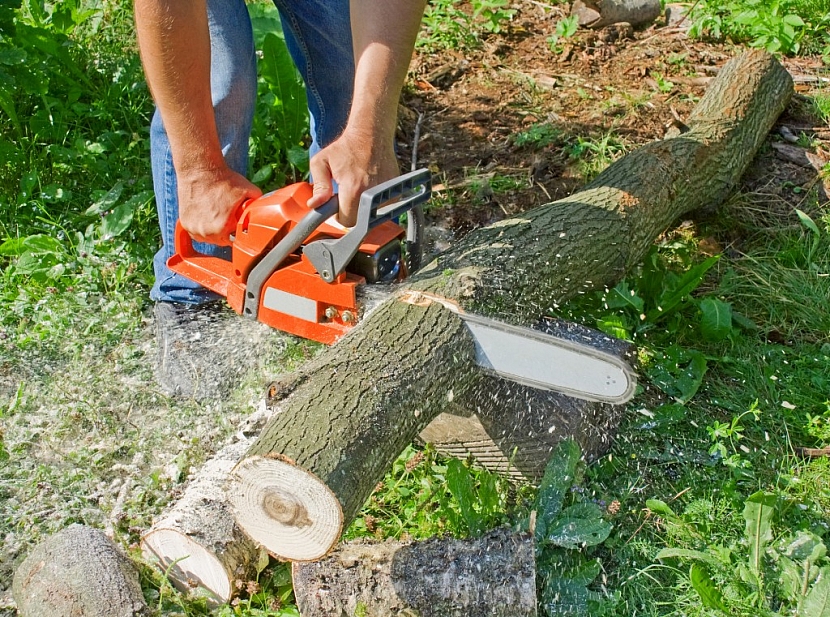 Pro přípravu dřeva na zimu či péči o stromy v zahradě nebo v lese je nepostradatelným zahradním strojem motorová pila