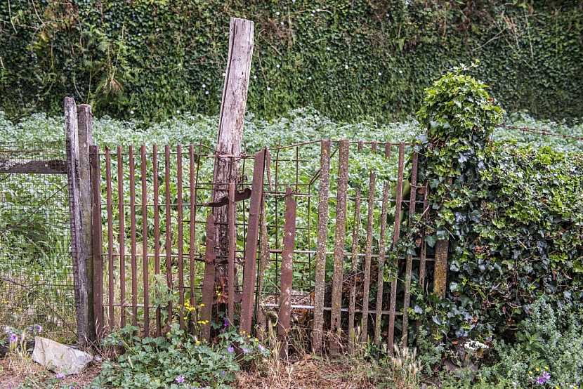 Tento plot nesplňuje vůbec žádný předpis