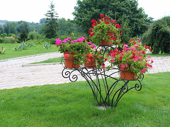 Jaké venkovní stojany na květiny jsou vhodné do zahrady (Zdroj: Depositphotos)