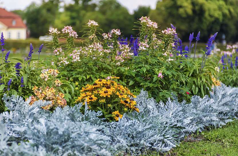 Hodnota pH půdy rozhoduje o tom, že květiny na zahradě budou prospívat (Zdroj: Depositphotos (https://cz.depositphotos.com))