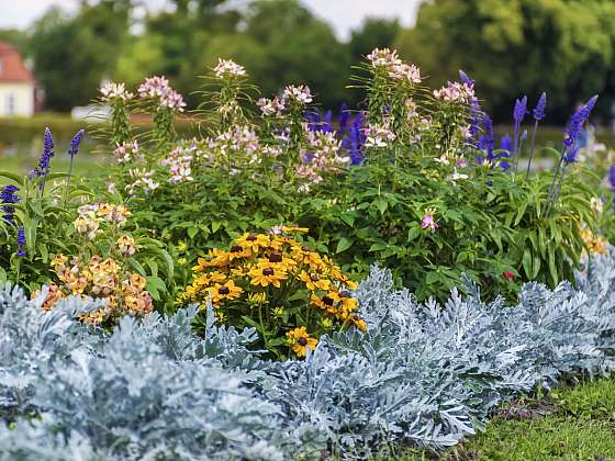 Hodnota pH půdy rozhoduje o tom, že květiny na zahradě budou prospívat (Zdroj: Depositphotos (https://cz.depositphotos.com))