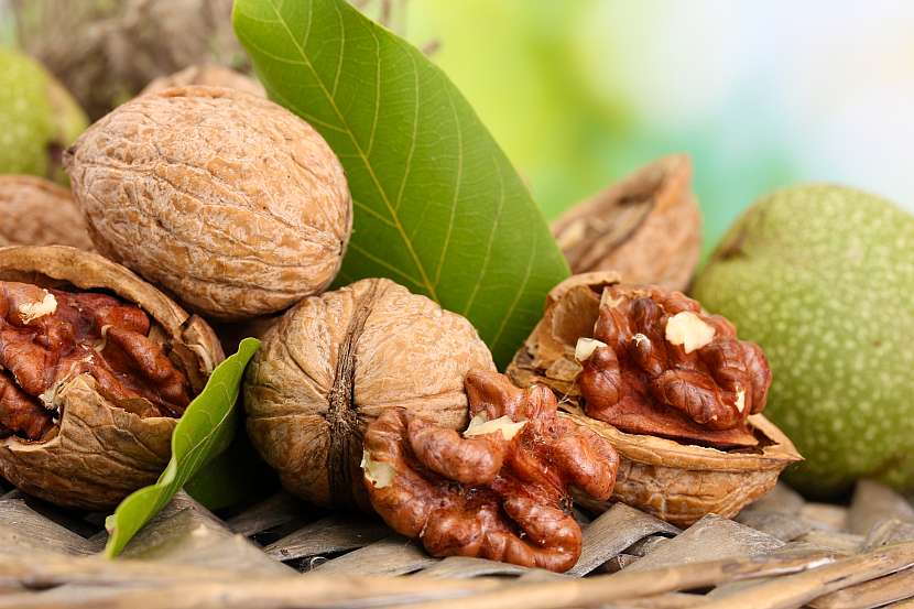 Vlašské ořechy by neměly chybět v jídelníčku po celý rok. Jak si poradit s jejich výběrem? (Zdroj: Depositphotos (https://cz.depositphotos.com))