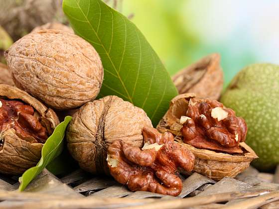 Vlašské ořechy by neměly chybět v jídelníčku po celý rok. Jak si poradit s jejich výběrem? (Zdroj: Depositphotos (https://cz.depositphotos.com))