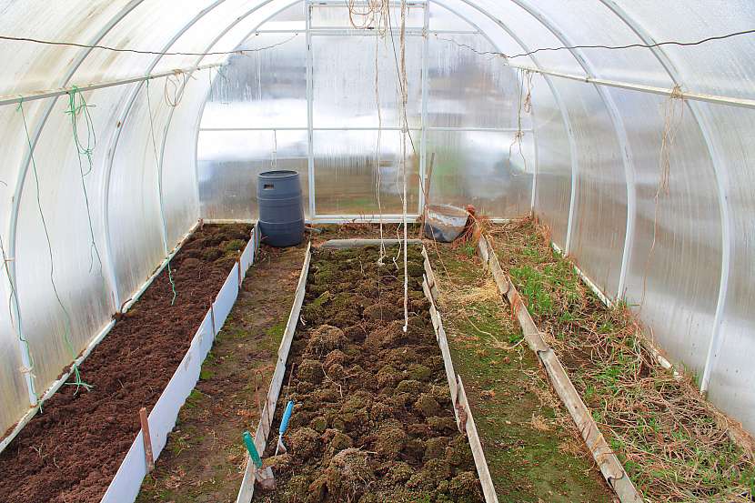 Skliďte úrodu ve skleníku, připravte záhony a vykuřte skleník od škůdců